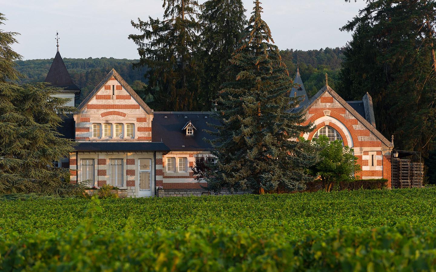 <p>Des vins puissants<br />
offrant profondeur & élégance</p>